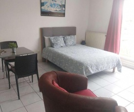 Residence d'Anjou - Grand studio avec balcon et parking privatif