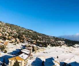 Grand appartement les angles