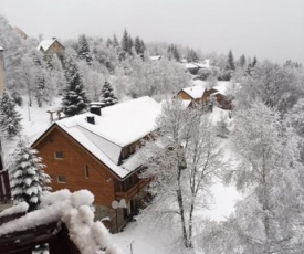 Studio 4 pers vue magnifique 100m des pistes