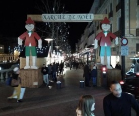 Les papillons en méditerranée