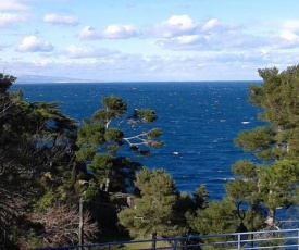 Studio a Collioure a 150 m de la plage avec vue sur la mer et balcon amenage