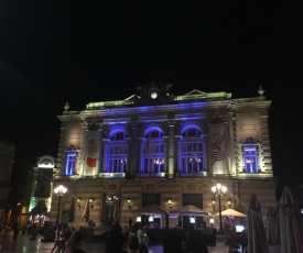 Sous Les Toits De Montpellier