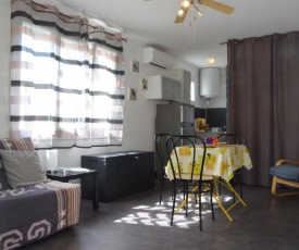 Appartement Banyuls-sur-Mer, 1 pièce, 2 personnes - FR-1-225C-25