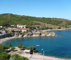 Appartement Banyuls-sur-Mer, 1 pièce, 2 personnes - FR-1-309-75