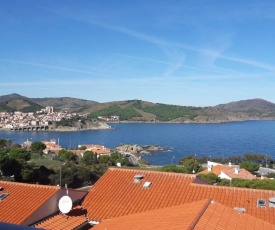 Appartement Banyuls-sur-Mer, 2 pièces, 4 personnes - FR-1-225C-12