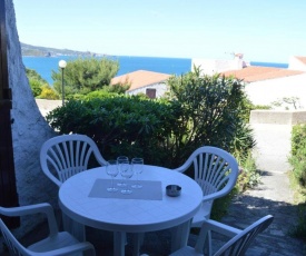 Appartement Banyuls-sur-Mer, 2 pièces, 4 personnes - FR-1-225C-34