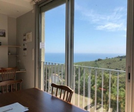 Appartement Banyuls-sur-Mer, 2 pièces, 4 personnes - FR-1-225C-79