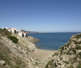 Appartement Banyuls-sur-Mer, 2 pièces, 5 personnes - FR-1-225C-333