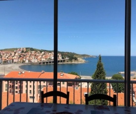 Appartement Banyuls-sur-Mer, 2 pièces, 6 personnes - FR-1-225C-78