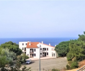 Appartement Banyuls-sur-Mer, 2 pièces, 6 personnes - FR-1-309-279