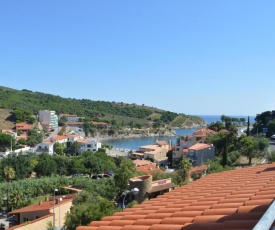 Appartement Banyuls-sur-Mer, 3 pièces, 6 personnes - FR-1-225C-29